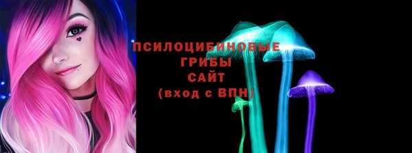 СК Алексеевка