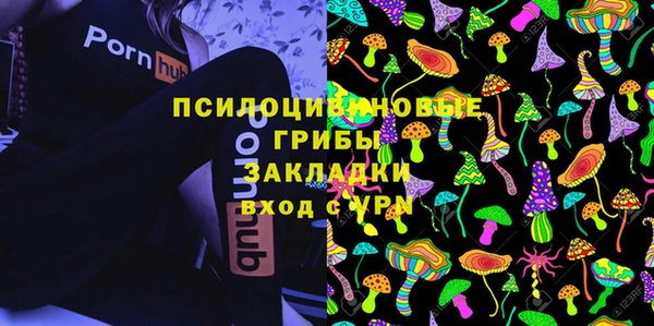 СК Алексеевка