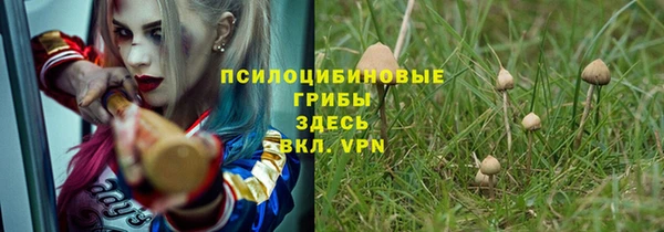 дживик Алзамай